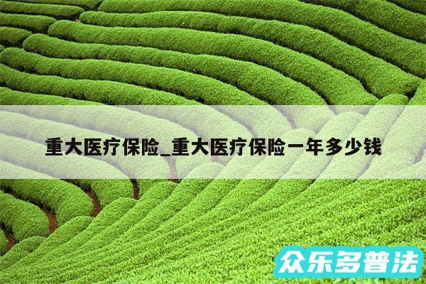 重大医疗保险_重大医疗保险一年多少钱