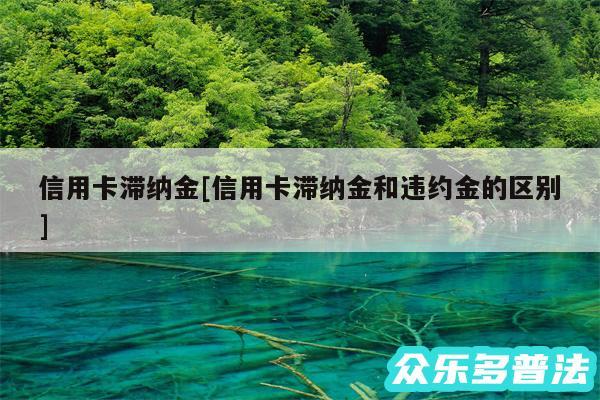 信用卡滞纳金及信用卡滞纳金和违约金的区别