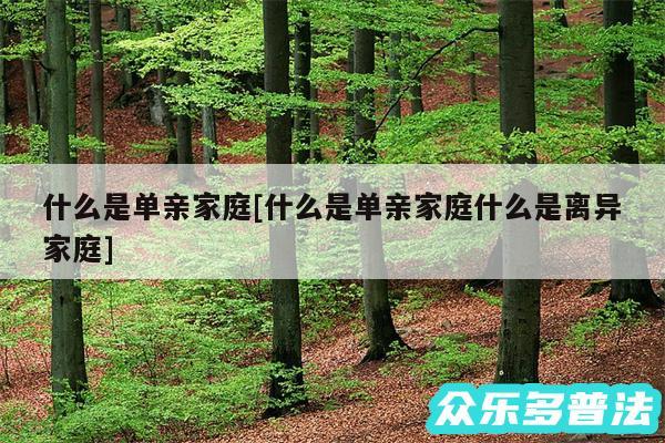 什么是单亲家庭及什么是单亲家庭什么是离异家庭