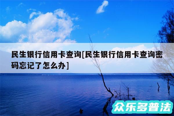 民生银行信用卡查询及民生银行信用卡查询密码忘记了怎么办