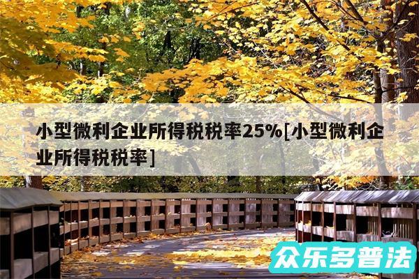 小型微利企业所得税税率25%及小型微利企业所得税税率