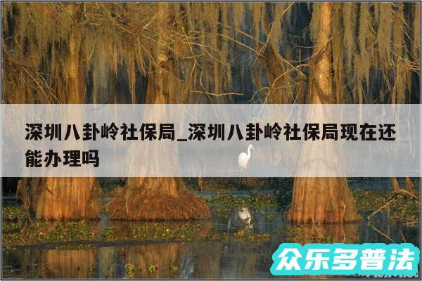 深圳八卦岭社保局_深圳八卦岭社保局现在还能办理吗