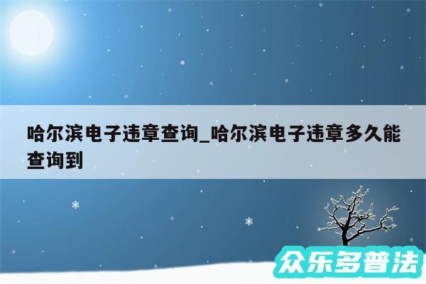 哈尔滨电子违章查询_哈尔滨电子违章多久能查询到