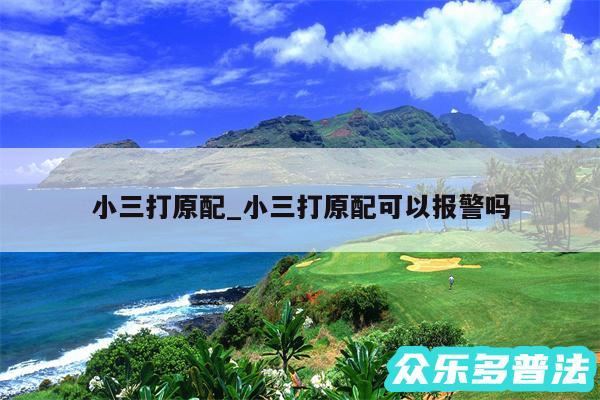 小三打原配_小三打原配可以报警吗