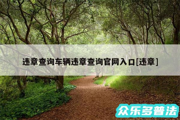 违章查询车辆违章查询官网入口及违章