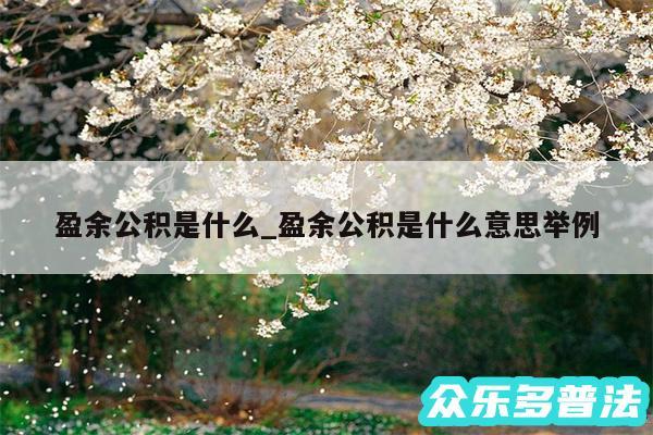 盈余公积是什么_盈余公积是什么意思举例