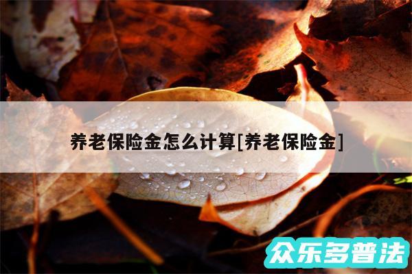 养老保险金怎么计算及养老保险金