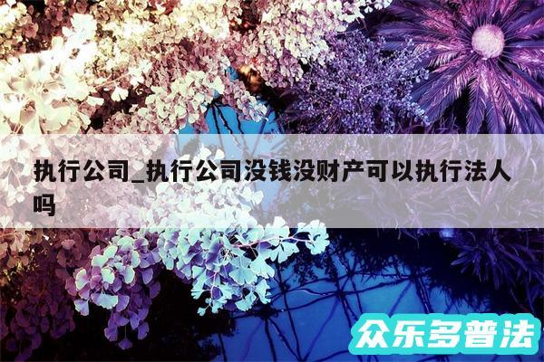 执行公司_执行公司没钱没财产可以执行法人吗