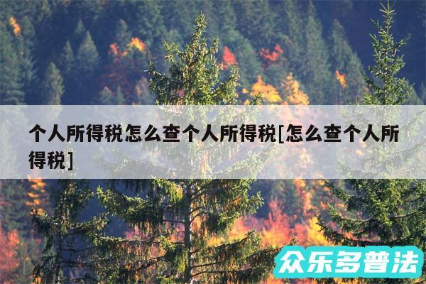 个人所得税怎么查个人所得税及怎么查个人所得税