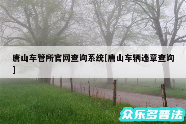 唐山车管所官网查询系统及唐山车辆违章查询