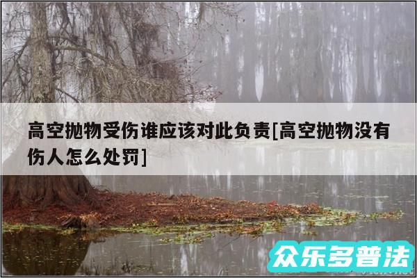 高空抛物受伤谁应该对此负责及高空抛物没有伤人怎么处罚