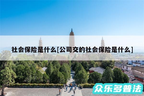 社会保险是什么及公司交的社会保险是什么