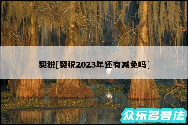 契税及契税2024年还有减免吗