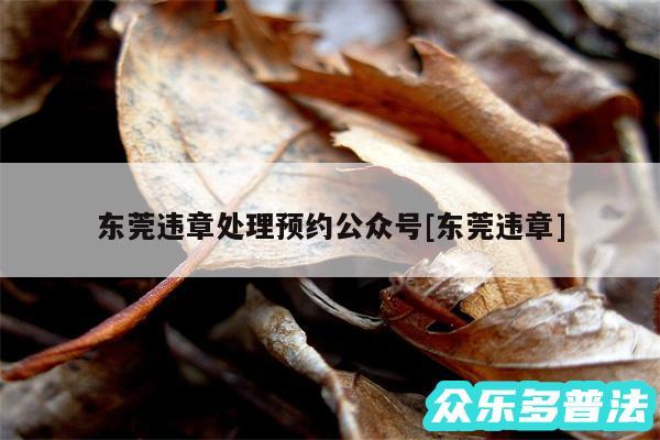 东莞违章处理预约公众号及东莞违章