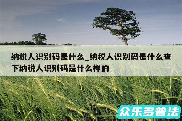 纳税人识别码是什么_纳税人识别码是什么查下纳税人识别码是什么样的