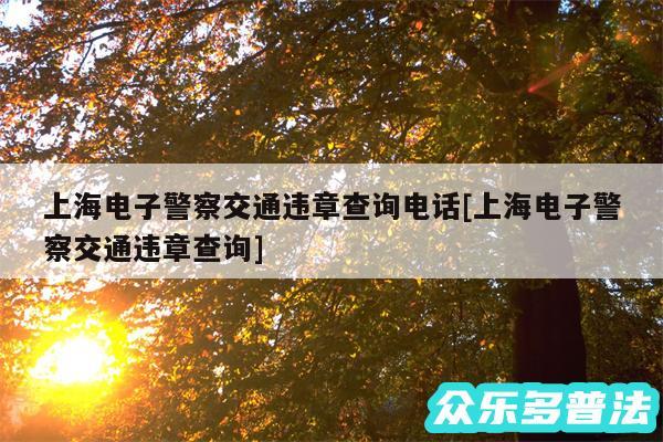 上海电子警察交通违章查询电话及上海电子警察交通违章查询