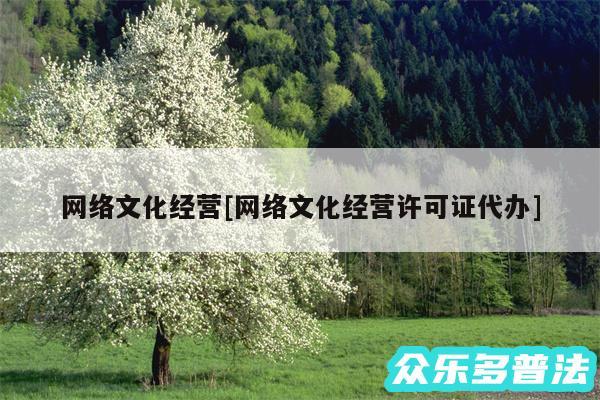 网络文化经营及网络文化经营许可证代办