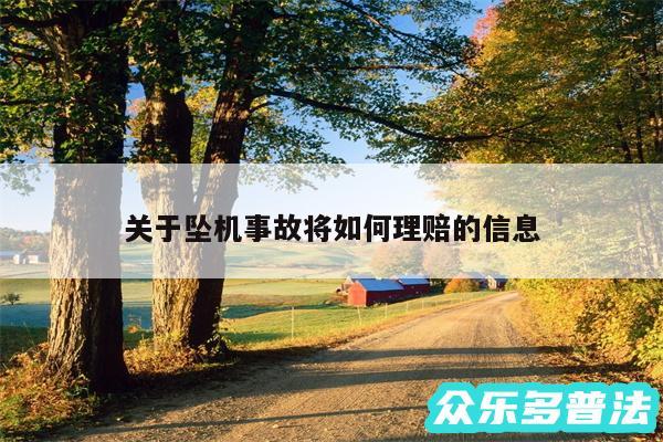 关于坠机事故将如何理赔的信息