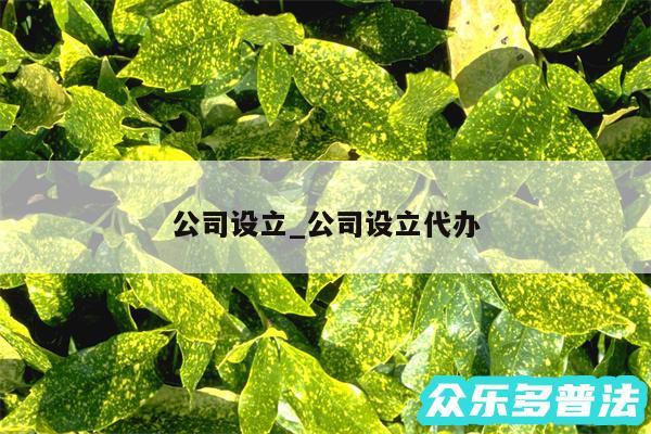 公司设立_公司设立代办