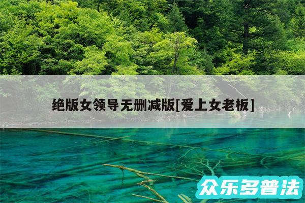 绝版女领导无删减版及爱上女老板
