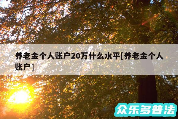 养老金个人账户20万什么水平及养老金个人账户