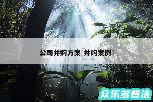 公司并购方案及并购案例