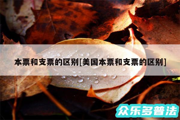 本票和支票的区别及美国本票和支票的区别