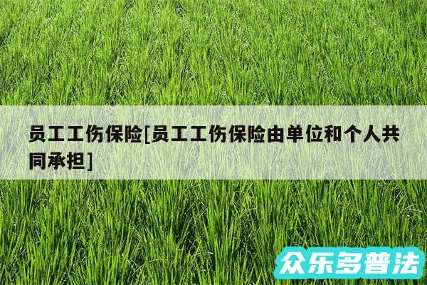 员工工伤保险及员工工伤保险由单位和个人共同承担