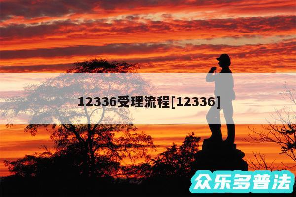 12336受理流程及12336