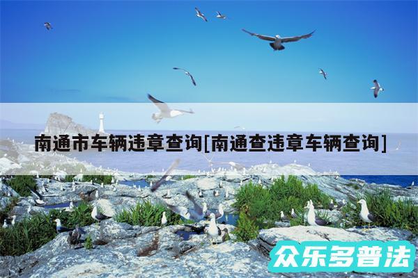 南通市车辆违章查询及南通查违章车辆查询