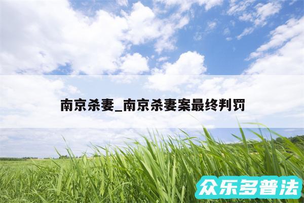 南京杀妻_南京杀妻案最终判罚