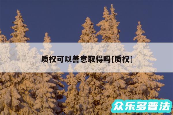 质权可以善意取得吗及质权