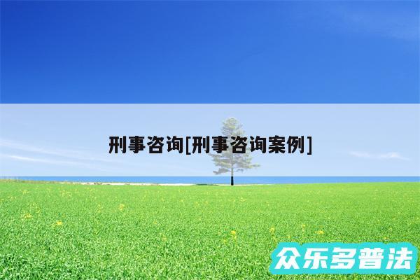 刑事咨询及刑事咨询案例