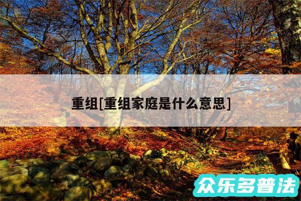 重组及重组家庭是什么意思