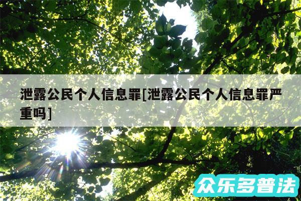 泄露公民个人信息罪及泄露公民个人信息罪严重吗