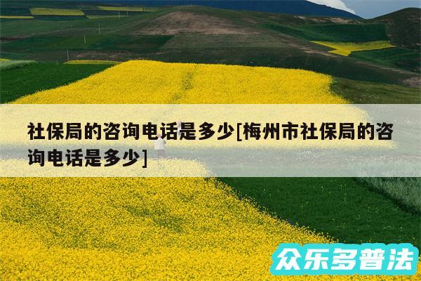 社保局的咨询电话是多少及梅州市社保局的咨询电话是多少