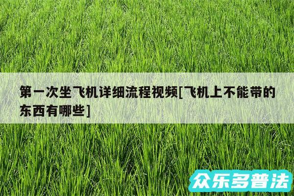 第一次坐飞机详细流程视频及飞机上不能带的东西有哪些