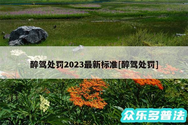 醉驾处罚2024最新标准及醉驾处罚