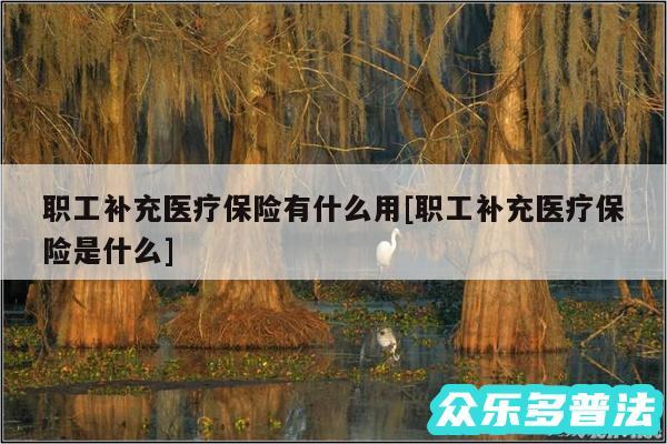 职工补充医疗保险有什么用及职工补充医疗保险是什么