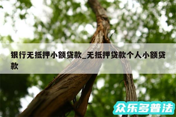 银行无抵押小额贷款_无抵押贷款个人小额贷款