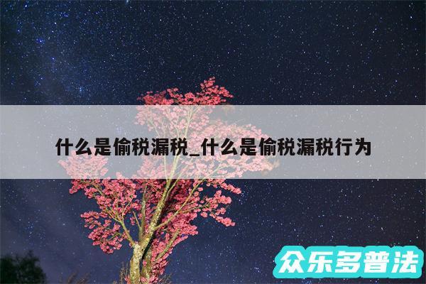 什么是偷税漏税_什么是偷税漏税行为