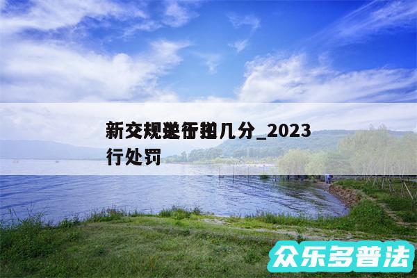 新交规逆行扣几分_2024
新交规关于逆行处罚