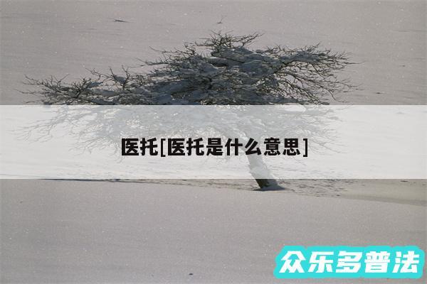 医托及医托是什么意思