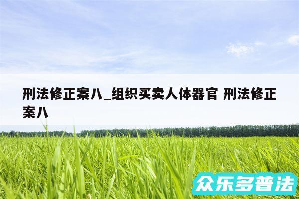 刑法修正案八_组织买卖人体器官 刑法修正案八