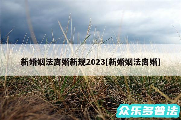 新婚姻法离婚新规2024及新婚姻法离婚