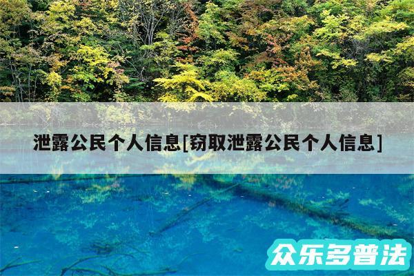 泄露公民个人信息及窃取泄露公民个人信息