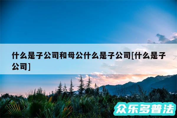 什么是子公司和母公什么是子公司及什么是子公司