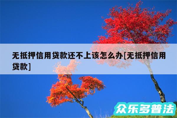 无抵押信用贷款还不上该怎么办及无抵押信用贷款