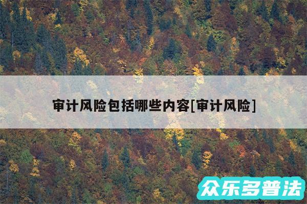 审计风险包括哪些内容及审计风险