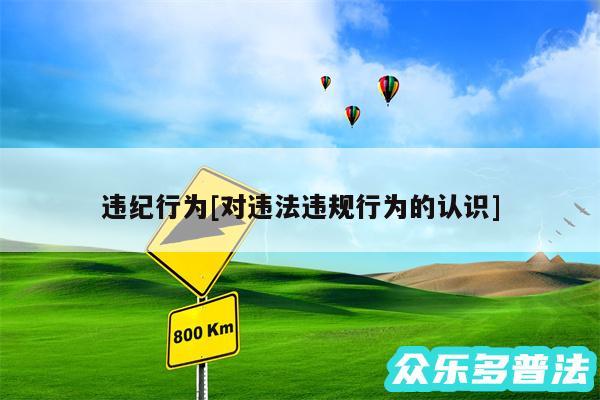 违纪行为及对违法违规行为的认识